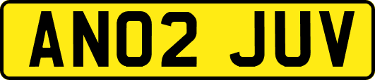 AN02JUV