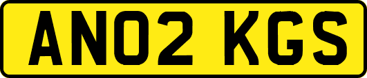 AN02KGS