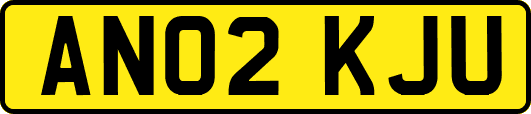 AN02KJU