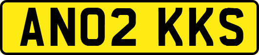 AN02KKS