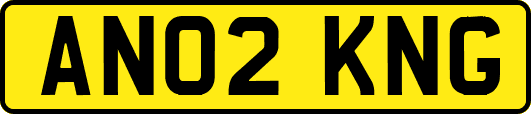 AN02KNG