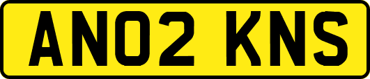 AN02KNS