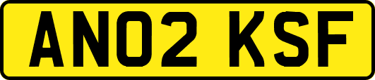 AN02KSF