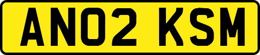 AN02KSM