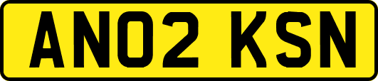 AN02KSN