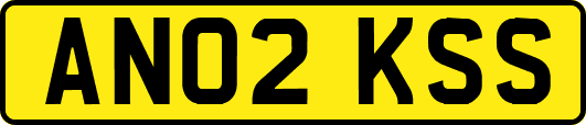 AN02KSS