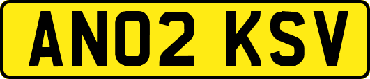 AN02KSV