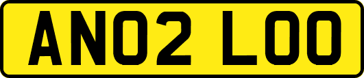 AN02LOO