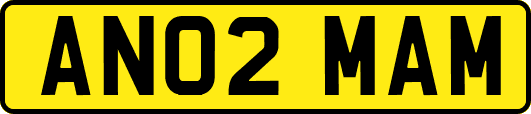 AN02MAM