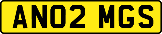 AN02MGS