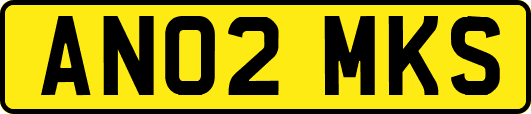 AN02MKS