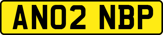 AN02NBP