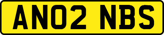 AN02NBS