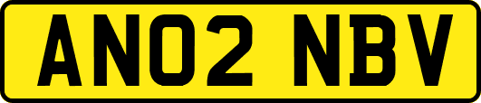 AN02NBV