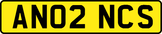 AN02NCS
