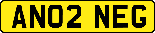 AN02NEG