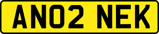 AN02NEK
