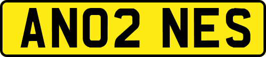 AN02NES