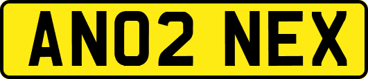 AN02NEX