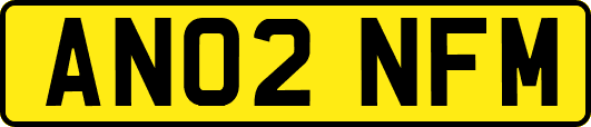 AN02NFM