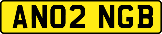 AN02NGB