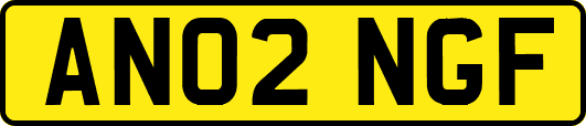 AN02NGF