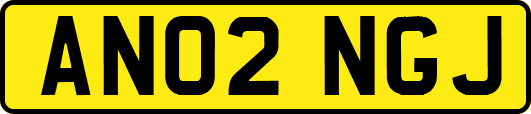 AN02NGJ