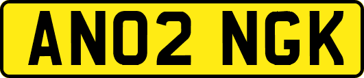 AN02NGK