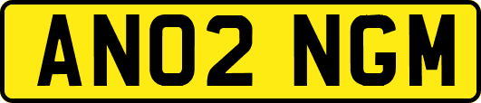 AN02NGM