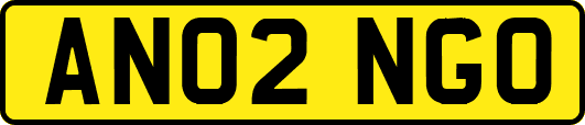 AN02NGO