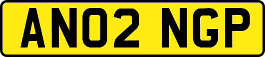 AN02NGP