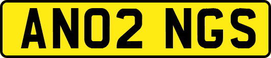 AN02NGS