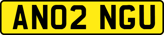 AN02NGU