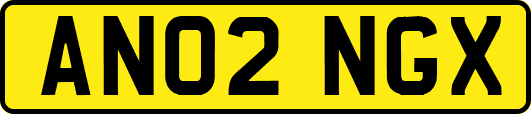 AN02NGX