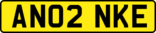 AN02NKE