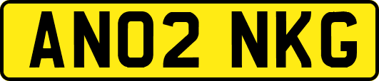 AN02NKG
