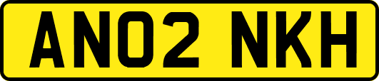 AN02NKH