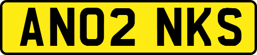 AN02NKS