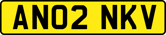 AN02NKV