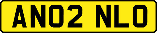 AN02NLO