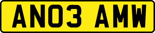 AN03AMW