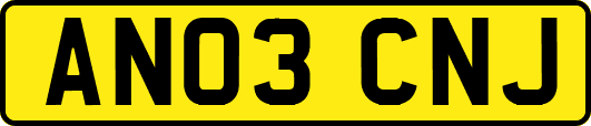 AN03CNJ