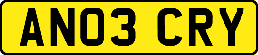 AN03CRY