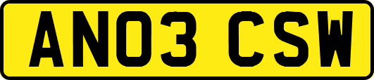 AN03CSW