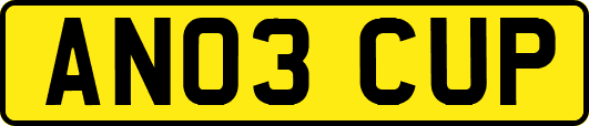 AN03CUP