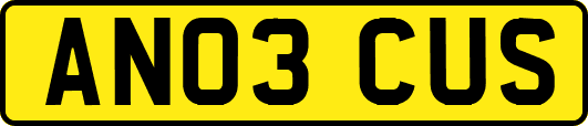 AN03CUS