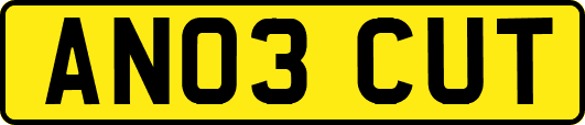 AN03CUT