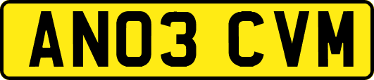 AN03CVM