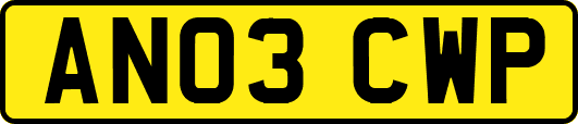 AN03CWP