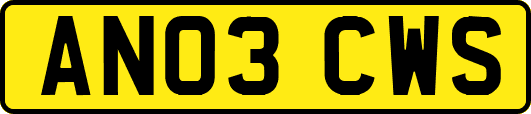 AN03CWS